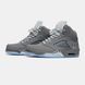 Jordan 5 Retro Wolf Grey ALL23891 фото 2