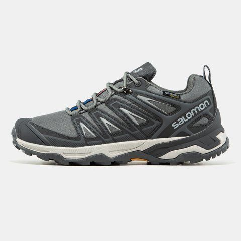 Salomon Speed Cross Pro GORE-TEX THINSULATE Grey ALL22040 фото